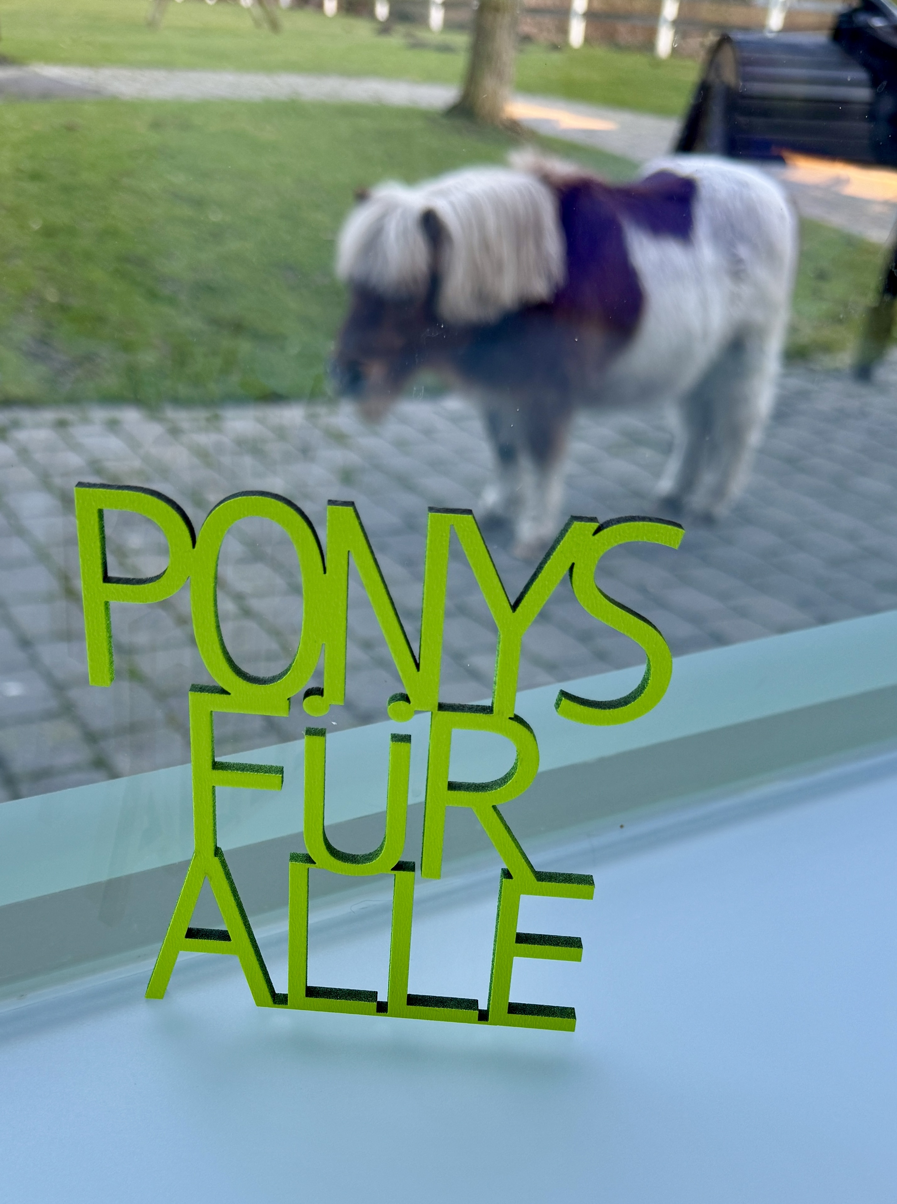 Schriftzug "Ponys für alle"