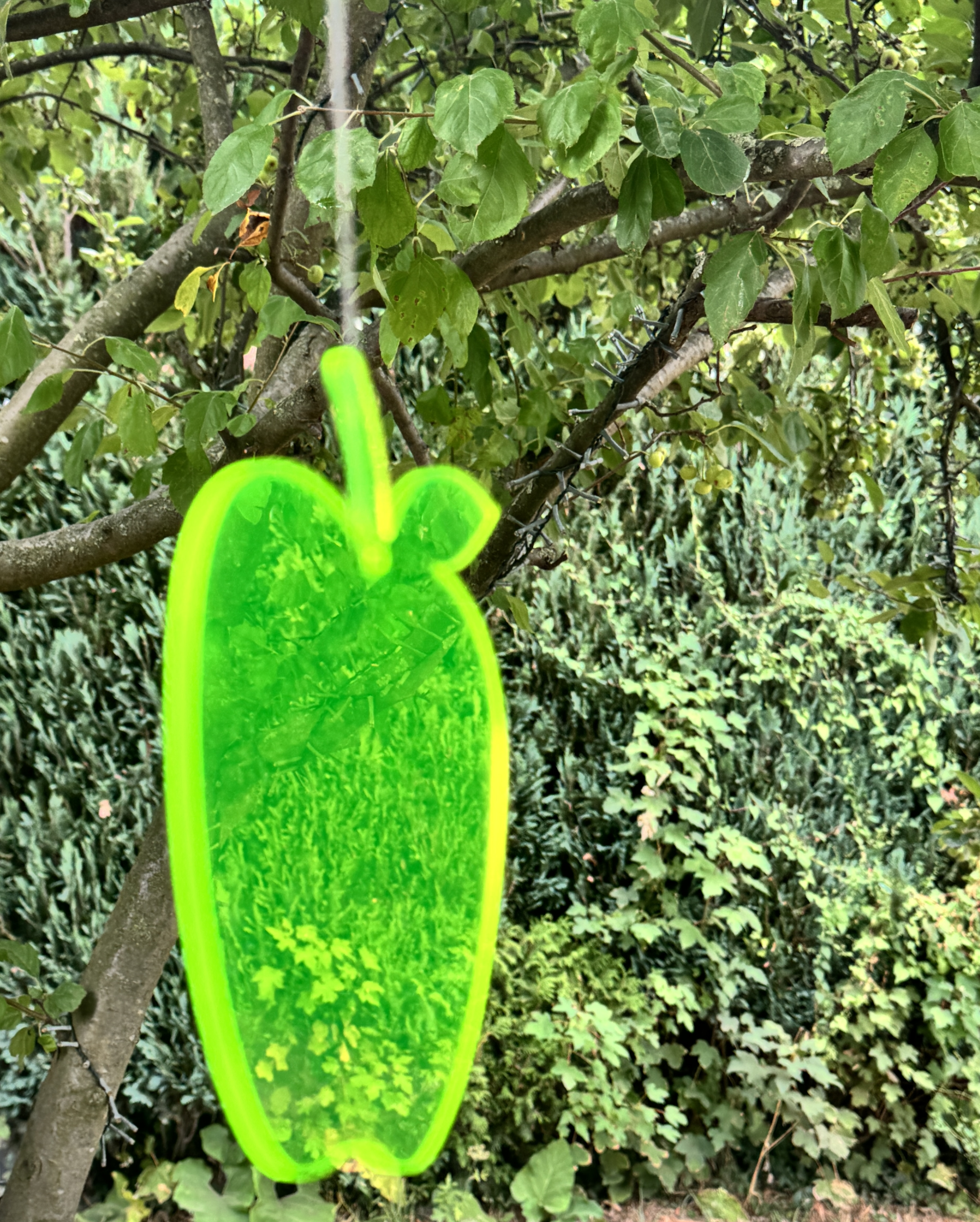 Acryl Apfel Sonnenfänger