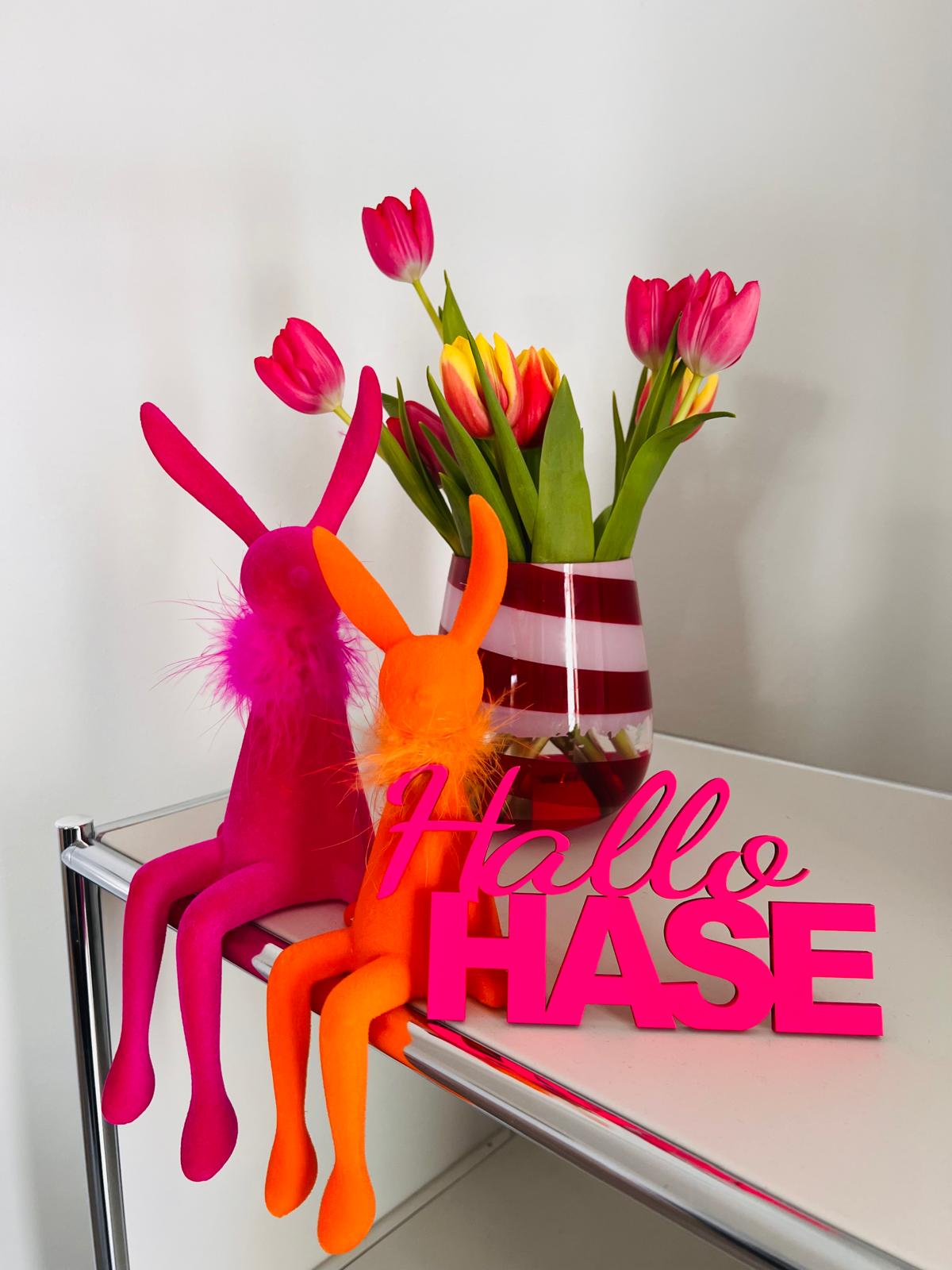 Schriftzug "Hallo HASE"